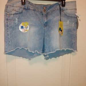YMI Plus size denim shorts (24W)